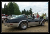 Corvette C3 78 Pace Car - 1